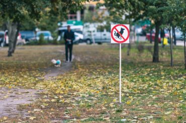 Hundekot Bestimmungen