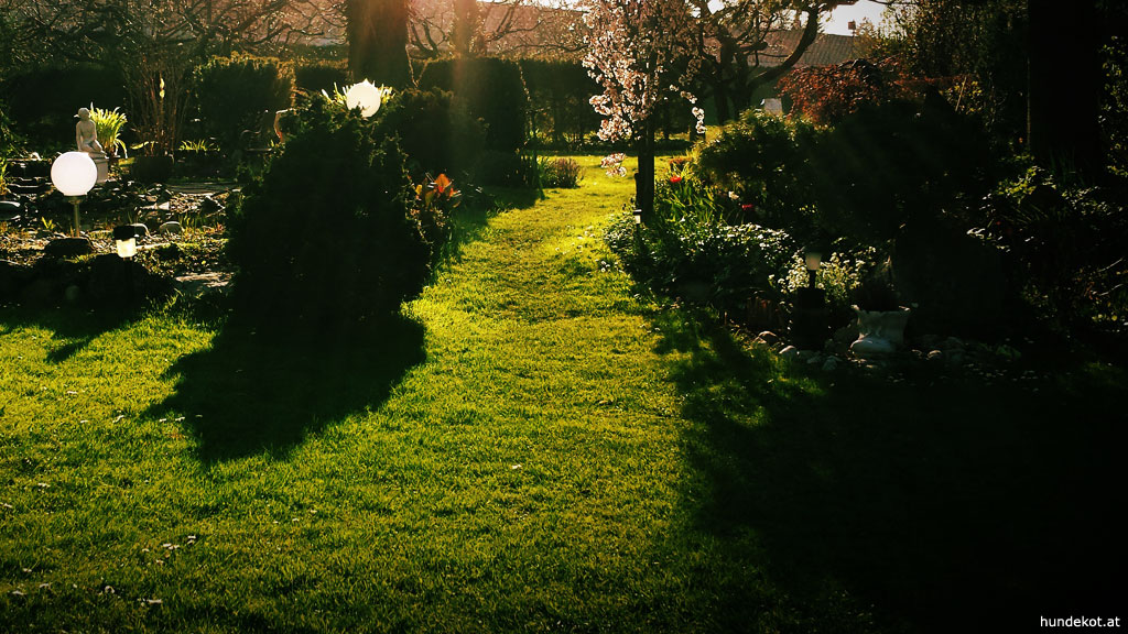 Hunde Garten