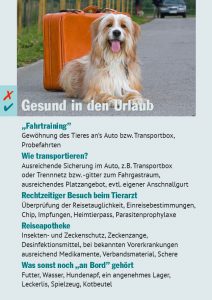 Hundeurlaub Checkliste